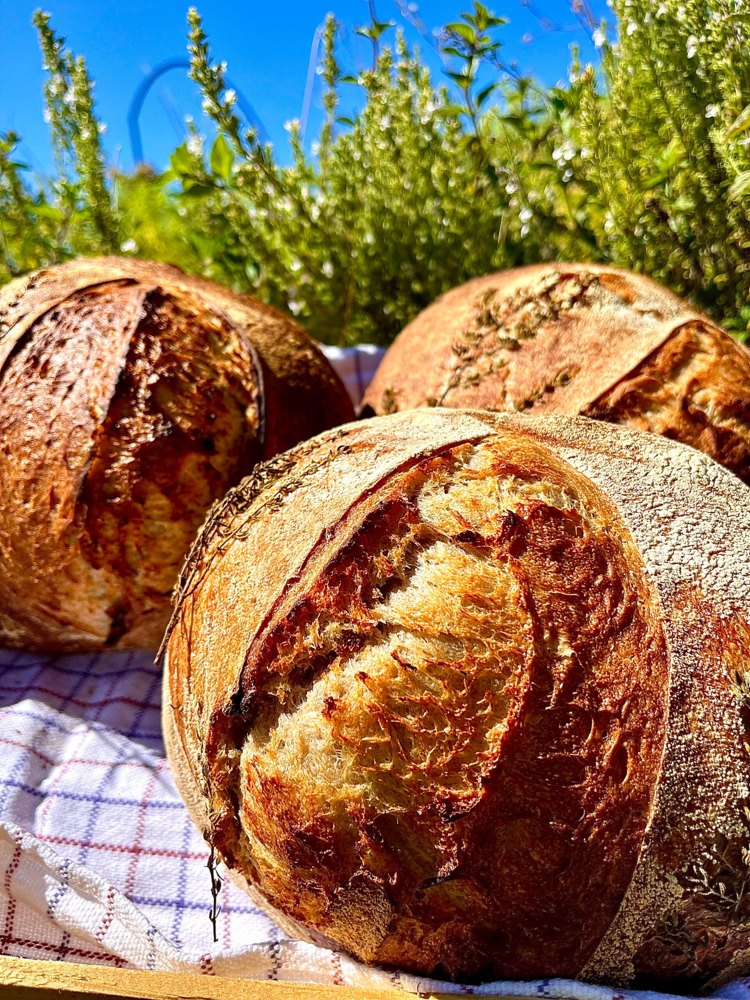 Les pains artisanaux de SIMPLE, aux croûtes dorées